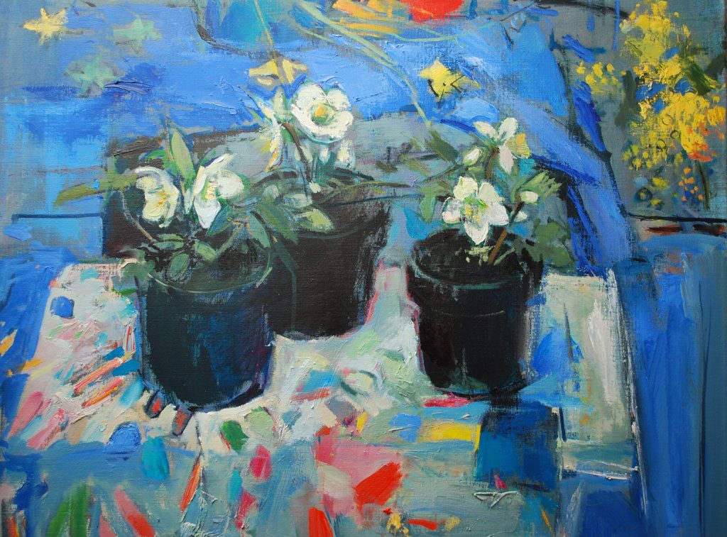 Helleborus — Stillevens en bloemen
